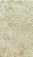 BONE 30x45,3