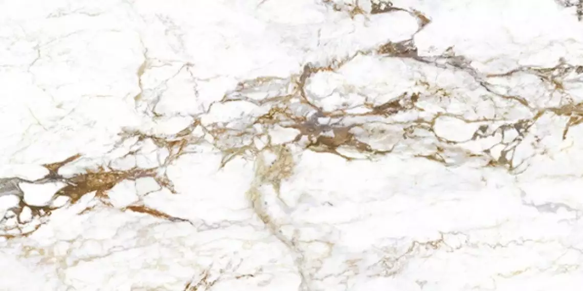 BRECCIA TORTONA LAP RET 120x278