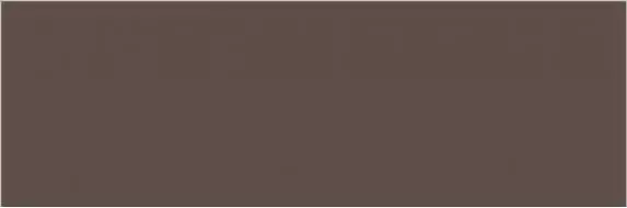 BROWN Polished 240x80