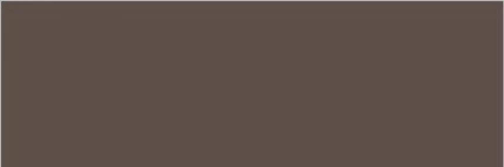 BROWN Polished 240x80