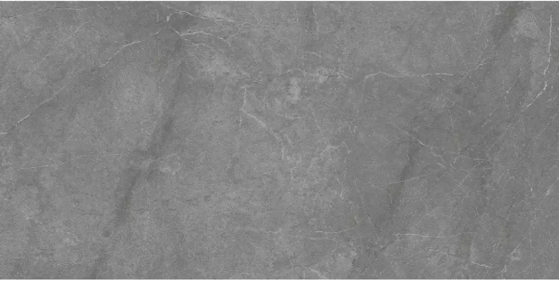 Barcelona Grey Matt 60x120