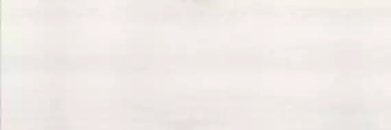 Barents Blanco 31,5x100