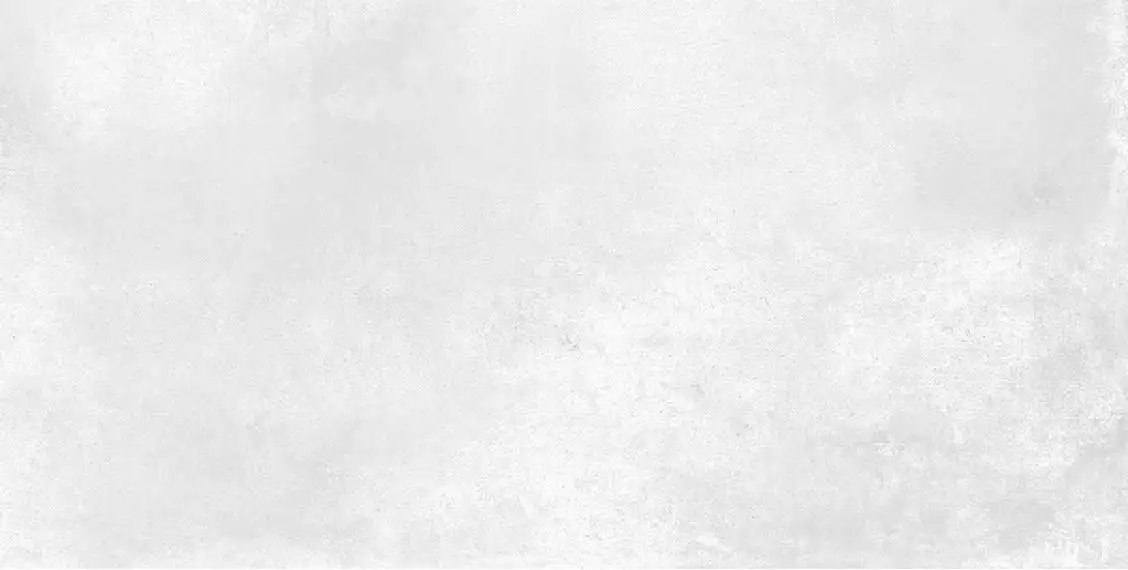 Basalt Blanco Matt 60x120