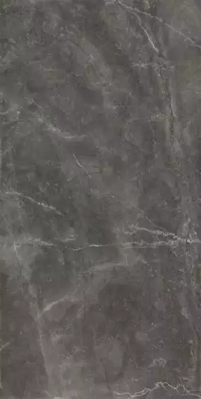 Bayona Grey Natural 120x240