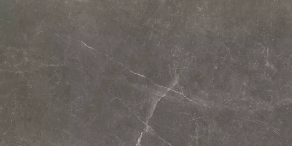Bayona Grey Natural 60x120 