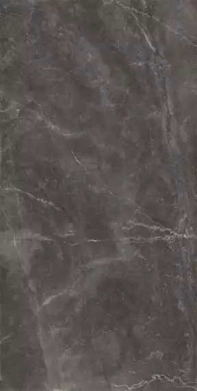 Bayona Grey Pulido 120x240