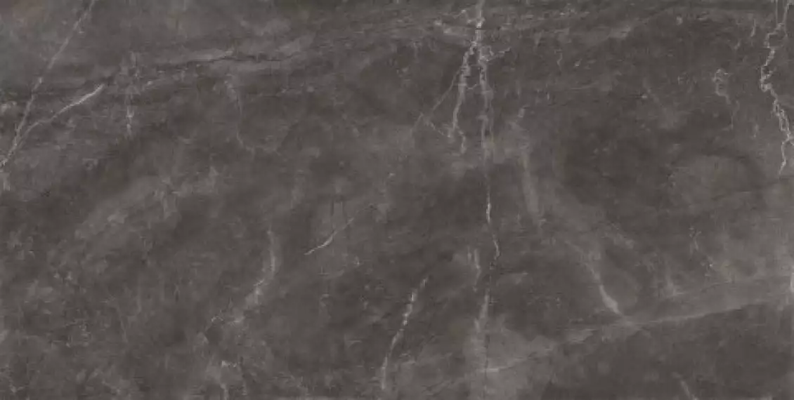Bayona Grey Pulido 60x120 