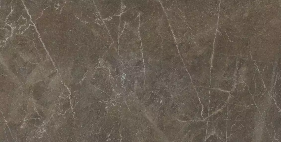 Bayona Moka Pulido 60x120 