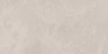 Bayona Silver Natural 60x120 