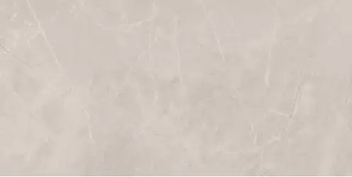 Bayona Silver Natural 60x120 