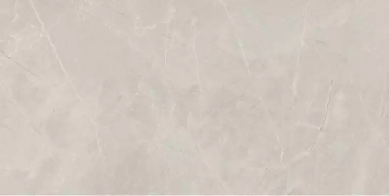 Bayona Silver Natural 60x120 