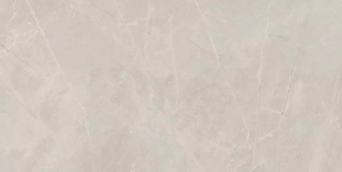 Bayona Silver Natural 60x120 