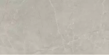 Bayona Silver Pulido 60x120 