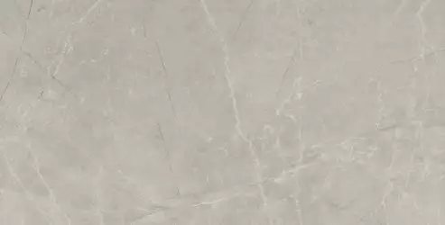 Bayona Silver Pulido 60x120 