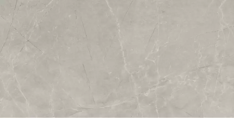 Bayona Silver Pulido 60x120 