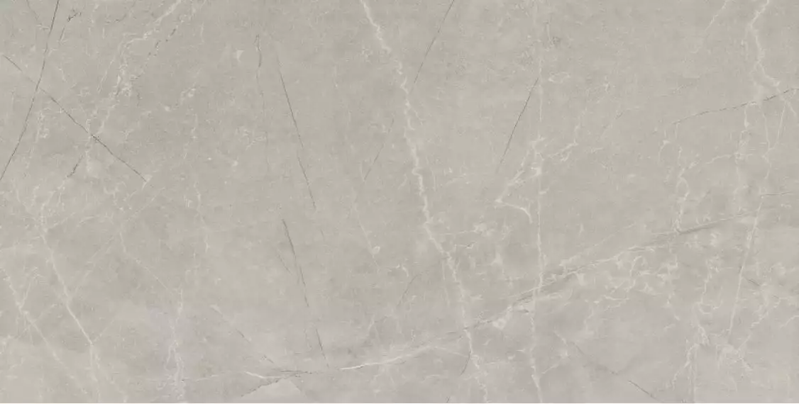 Bayona Silver Pulido 60x120 