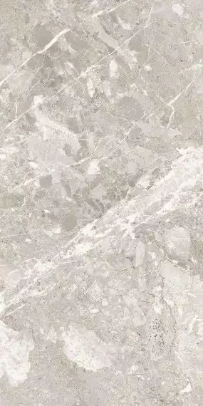 Belcastel Silver Rec. 60x120