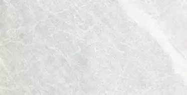Belek Bone Granuled Sugar 60x120