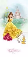 Belle 30*60