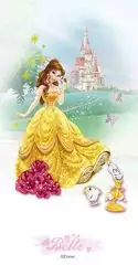 Belle 30*60
