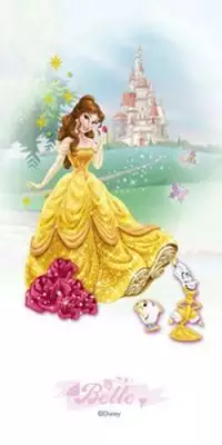 Belle 30*60