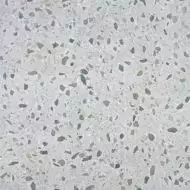 Belstone Grey MT 60x60
