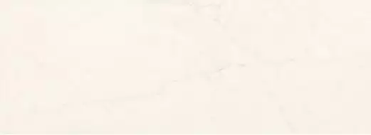 Belvi white 32,8x89,8