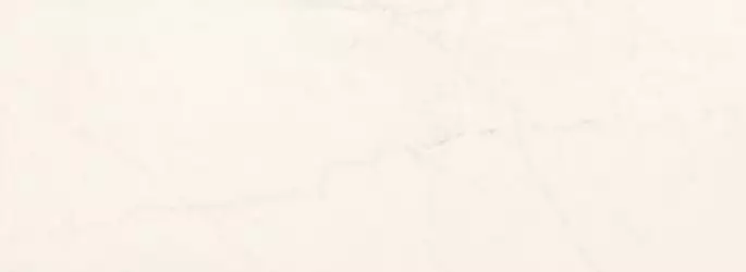 Belvi white 32,8x89,8
