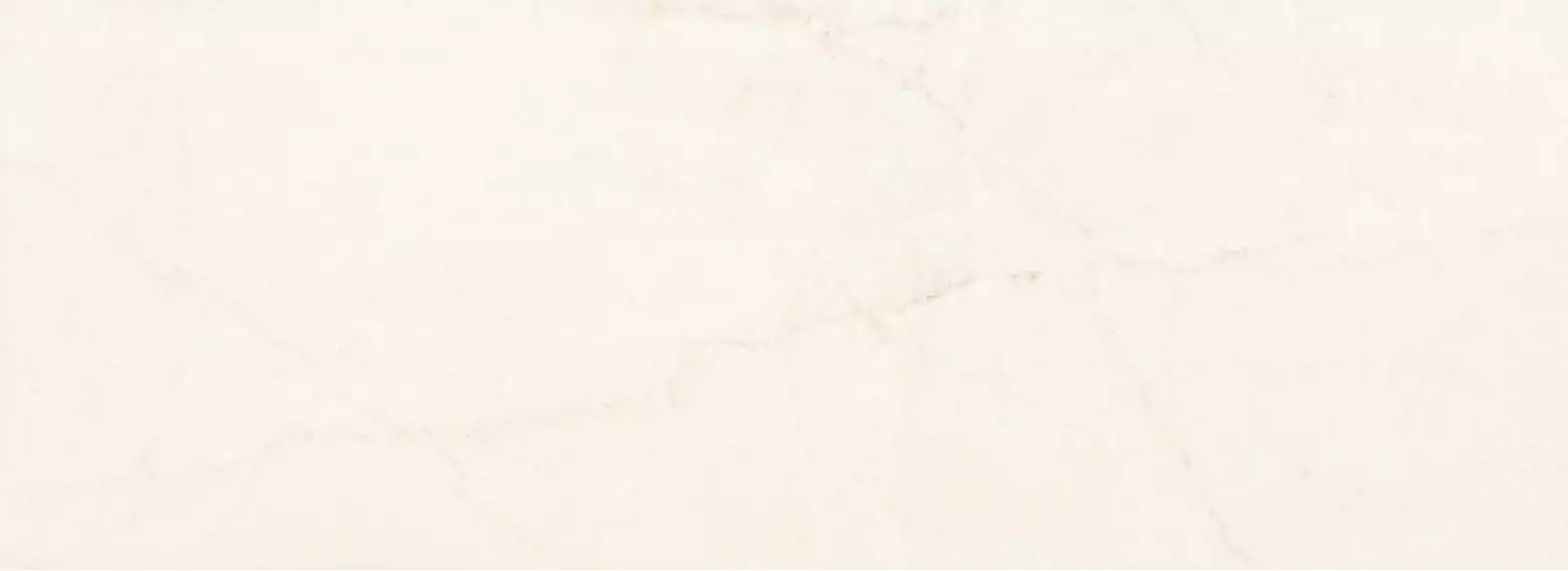 Belvi white 32,8x89,8