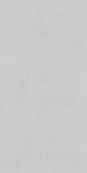 Benefit Light Grey Rect Matt 60x120