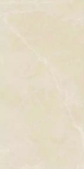 Berrys Beige High gloss 60*120
