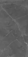 Berrys Graffite High gloss 60*120
