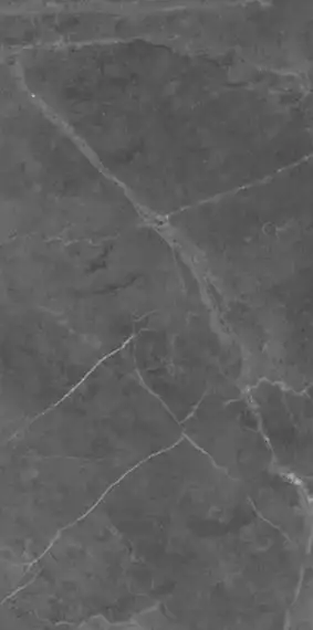 Berrys Graffite High gloss 60*120