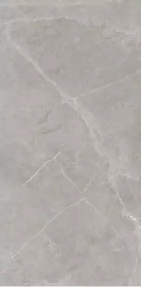 Berrys Grey High gloss 60*120