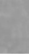 Beton Light Grey Mat 60x120