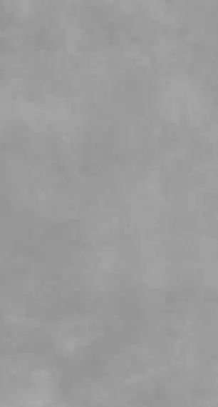 Beton Light Grey Mat 60x120