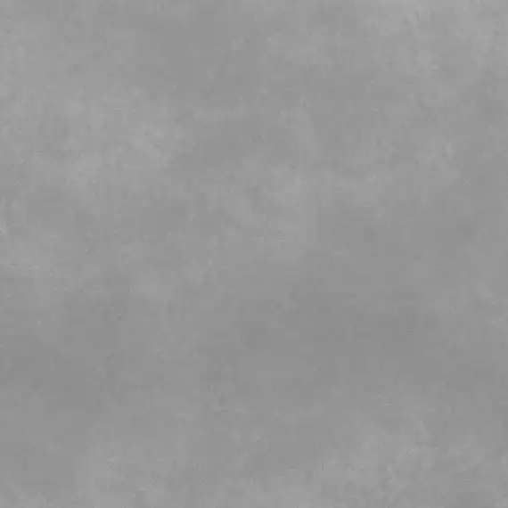 Beton Light Grey Mat 60x60