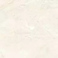 Bianco Ivory Rectified 59.4x59.4