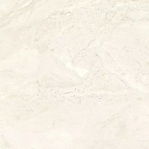 Bianco Ivory Rectified 59.4x59.4