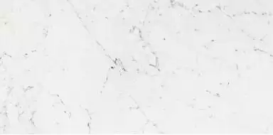 Bianco Pulido 58,6x118,7