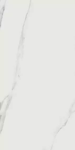 Bianco Statuario JW01 Luc SQ 60x119.7