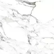 Bianco carrara PGVT 60x60