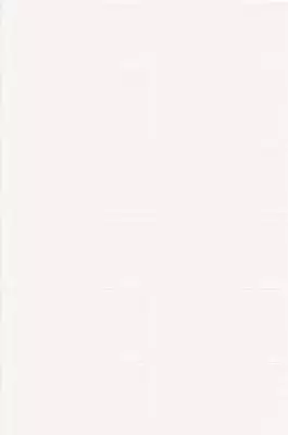 Bissel Blanco Liso Brillo 10x20