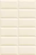 Bissel Vison 10x20