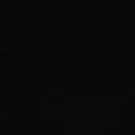 Black-White Black Polished 100x100