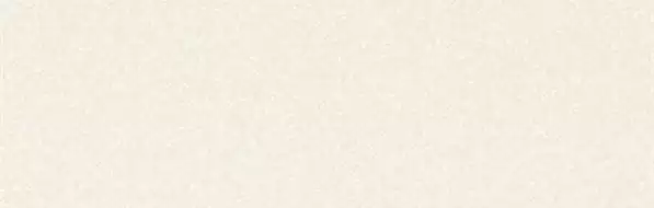 Black-White Snow 300x100