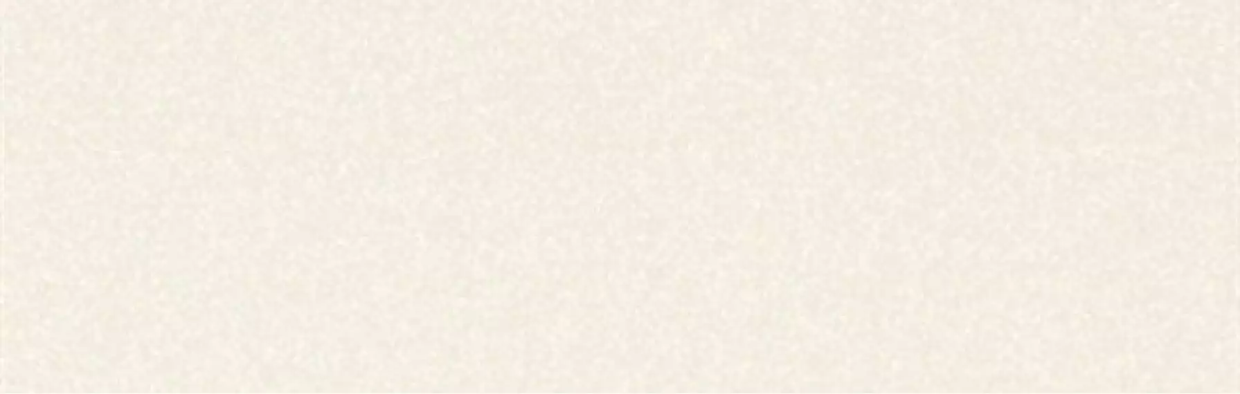 Black-White Snow 300x100