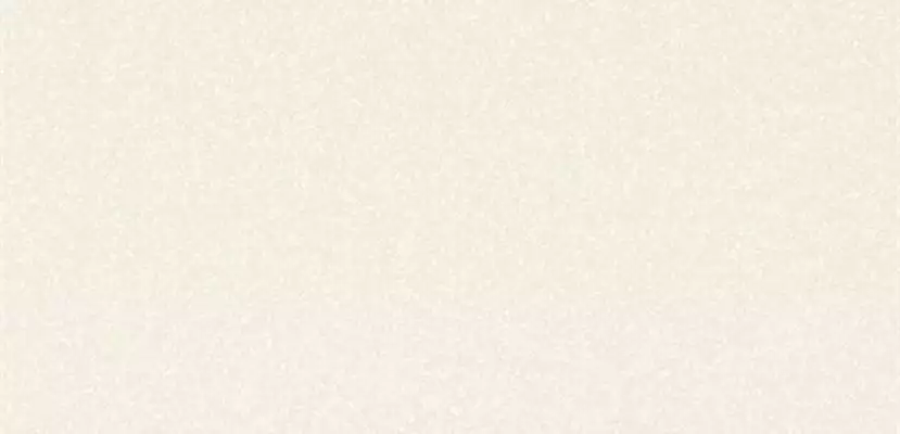 Black-White Snow 50x100