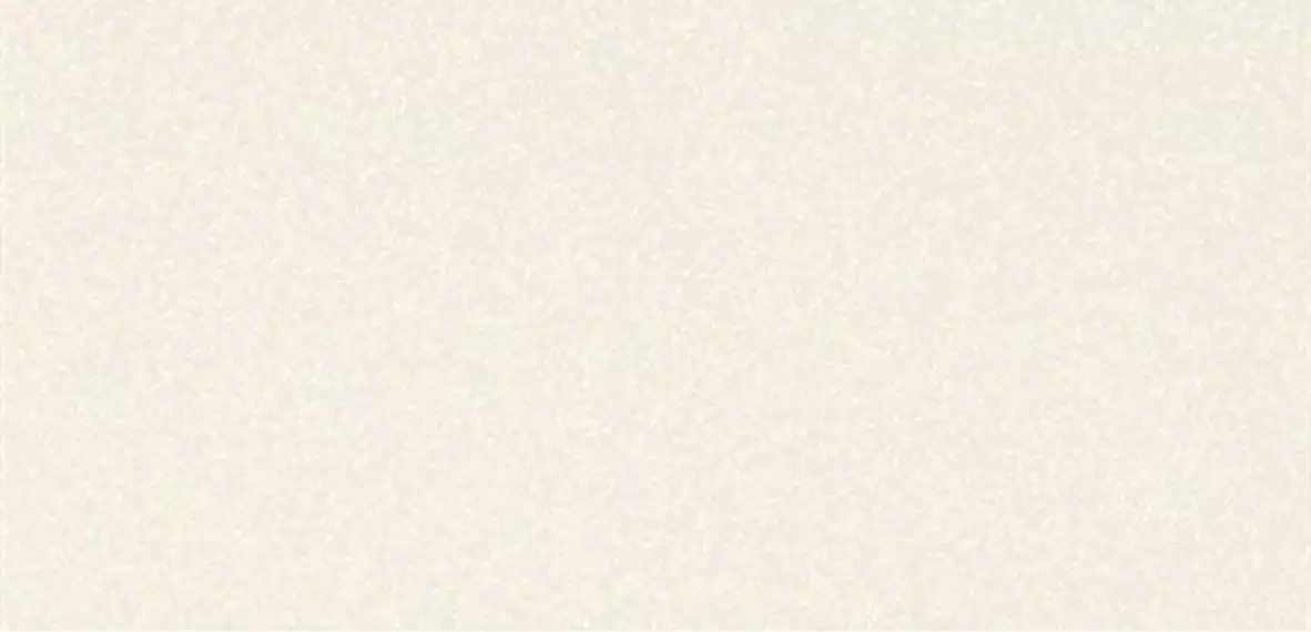 Black-White Snow 50x100