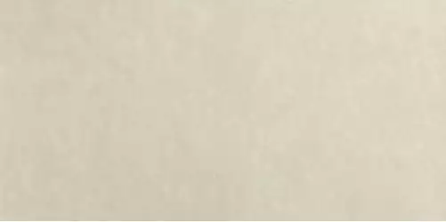 Bloom Beige 80x160